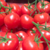 Tomato season is in full swing!