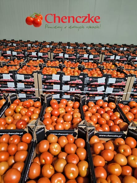 Sezon pomidorowy w pełni!🍅